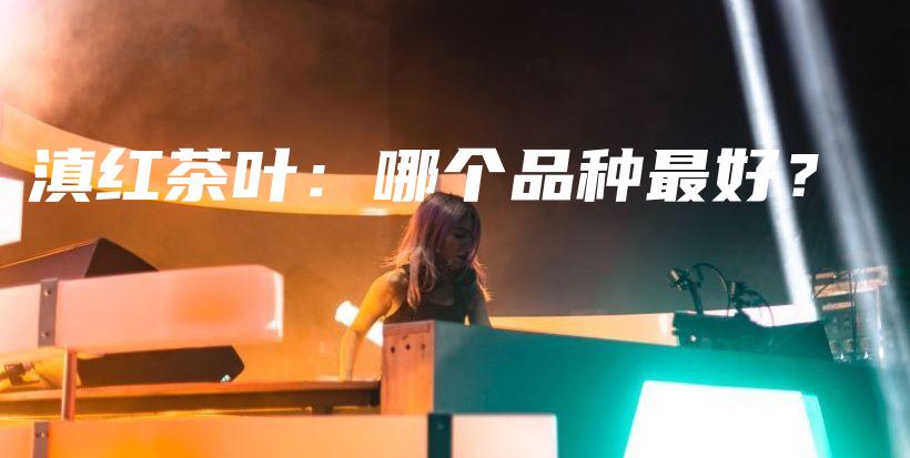 滇紅茶葉：哪個品種最好？插圖