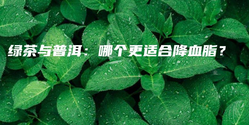 綠茶與普洱：哪個(gè)更適合降血脂？插圖