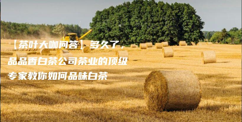 【茶葉大咖問答】多久了，品品香白茶公司茶業(yè)的頂級(jí)專家教你如何品味白茶插圖