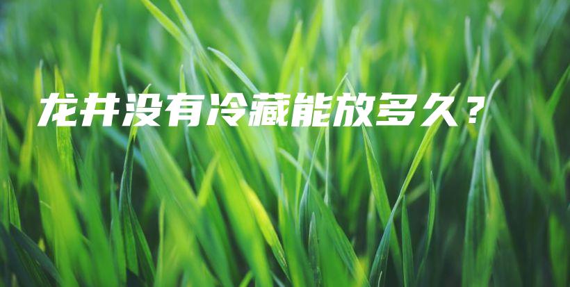 龍井沒有冷藏能放多久？插圖