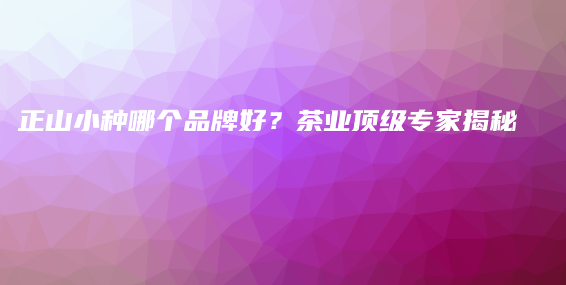正山小種哪個(gè)品牌好？茶業(yè)頂級(jí)專家揭秘插圖