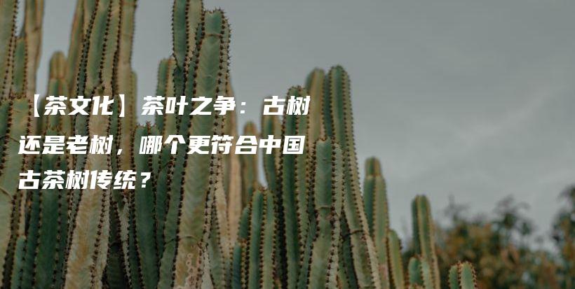 【茶文化】茶葉之爭(zhēng)：古樹還是老樹，哪個(gè)更符合中國(guó)古茶樹傳統(tǒng)？插圖