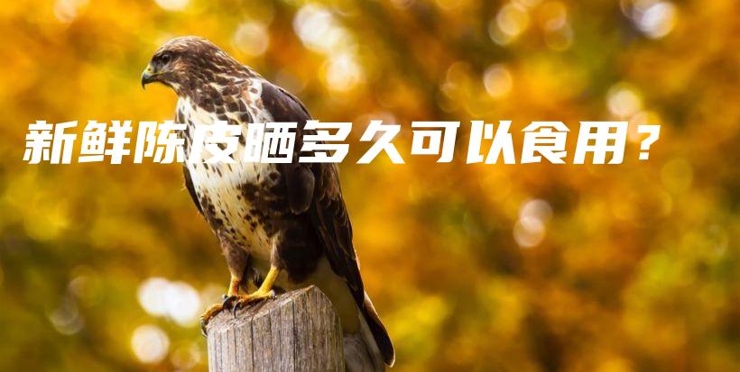 新鮮陳皮曬多久可以食用？插圖