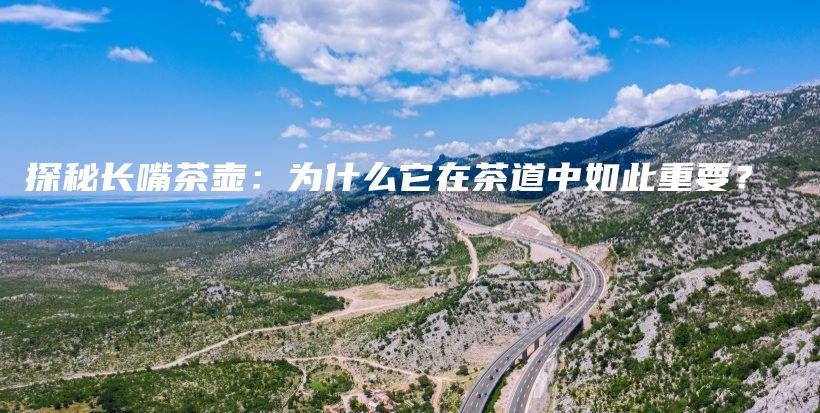 探秘長嘴茶壺：為什么它在茶道中如此重要？插圖