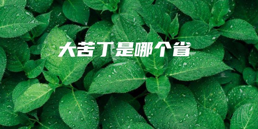 大苦丁是哪個(gè)省插圖