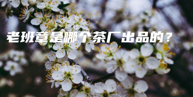 老班章是哪個(gè)茶廠出品的？插圖