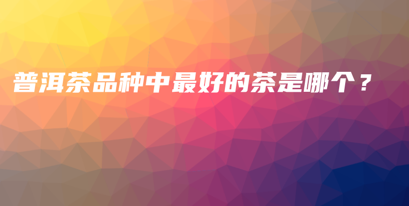 普洱茶品種中最好的茶是哪個？插圖