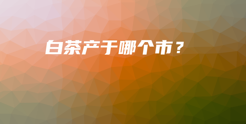 白茶產(chǎn)于哪個市？插圖