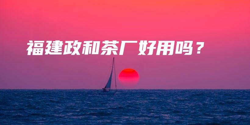 福建政和茶廠好用嗎？插圖