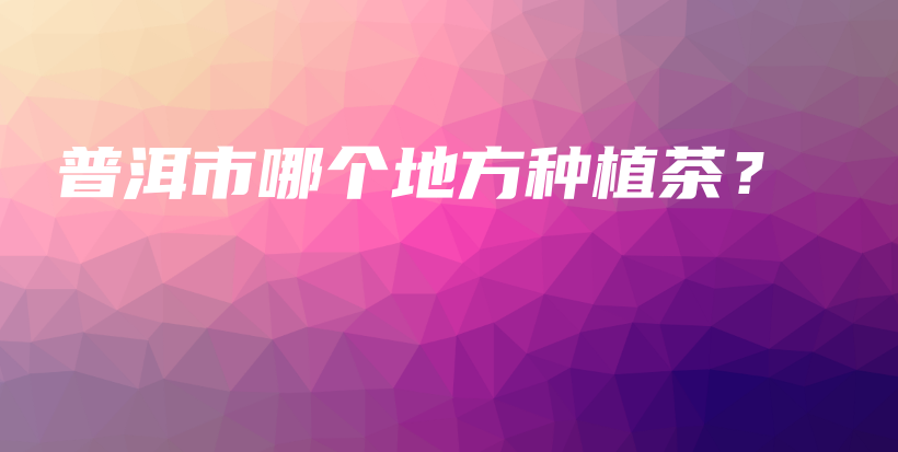 普洱市哪個地方種植茶？插圖