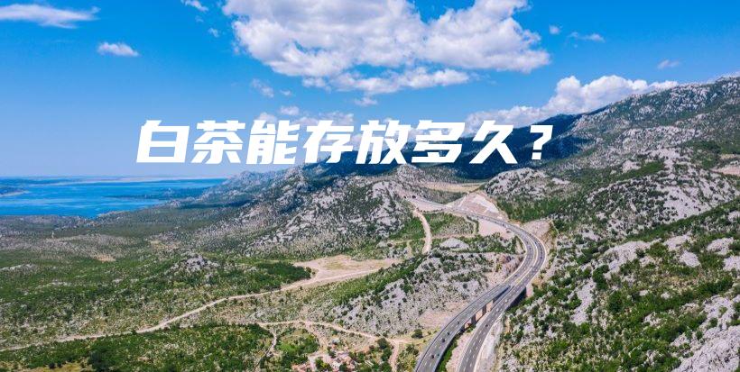 白茶能存放多久？插圖