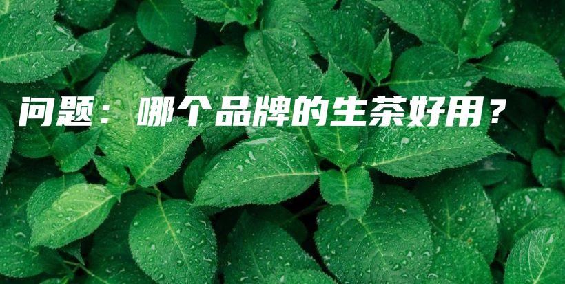 問題：哪個(gè)品牌的生茶好用？插圖