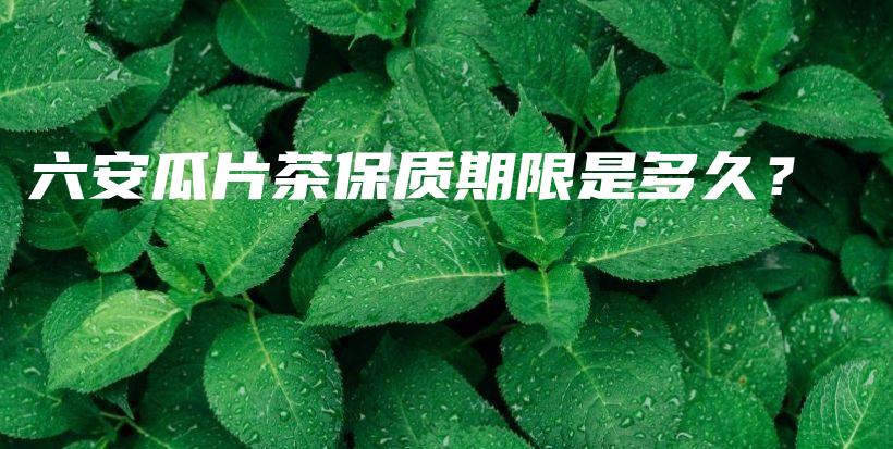 六安瓜片茶保質(zhì)期限是多久？插圖