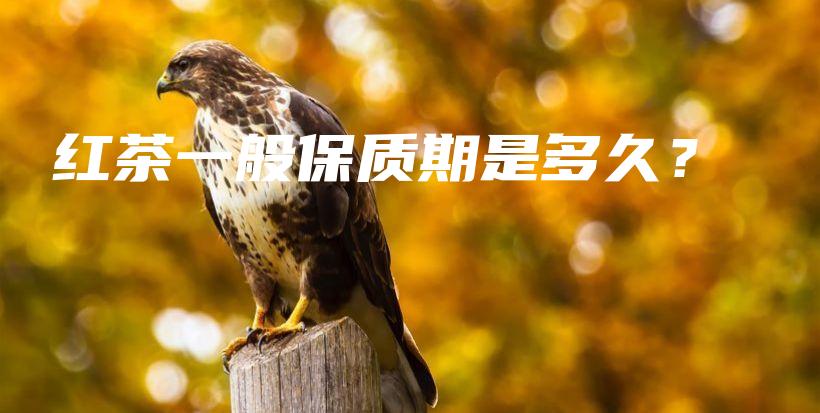 紅茶一般保質(zhì)期是多久？插圖