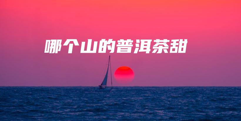哪個(gè)山的普洱茶甜插圖