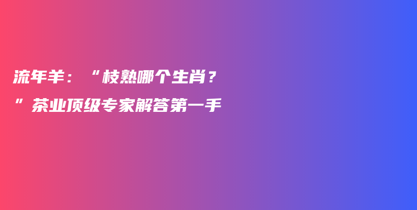 流年羊：“枝熟哪個生肖？”茶業(yè)頂級專家解答第一手插圖
