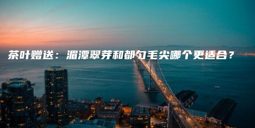 茶葉贈送：湄潭翠芽和都勻毛尖哪個更適合？插圖