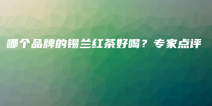 哪個(gè)品牌的錫蘭紅茶好喝？專家點(diǎn)評插圖