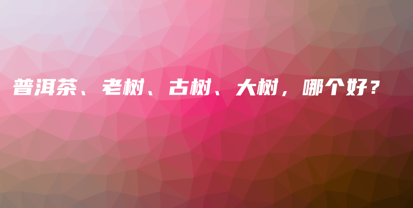 普洱茶、老樹、古樹、大樹，哪個(gè)好？插圖