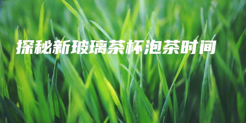 探秘新玻璃茶杯泡茶時(shí)間插圖