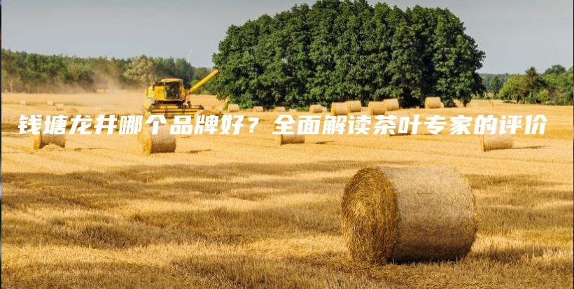 錢塘龍井哪個(gè)品牌好？全面解讀茶葉專家的評(píng)價(jià)插圖