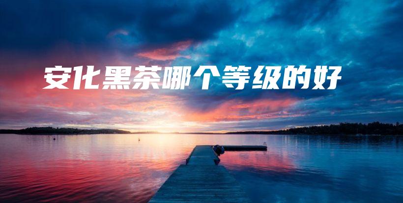 安化黑茶哪個等級的好插圖