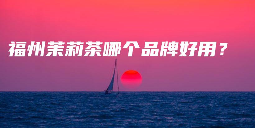 福州茉莉茶哪個(gè)品牌好用？插圖