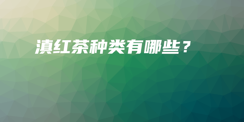 滇紅茶種類有哪些？插圖
