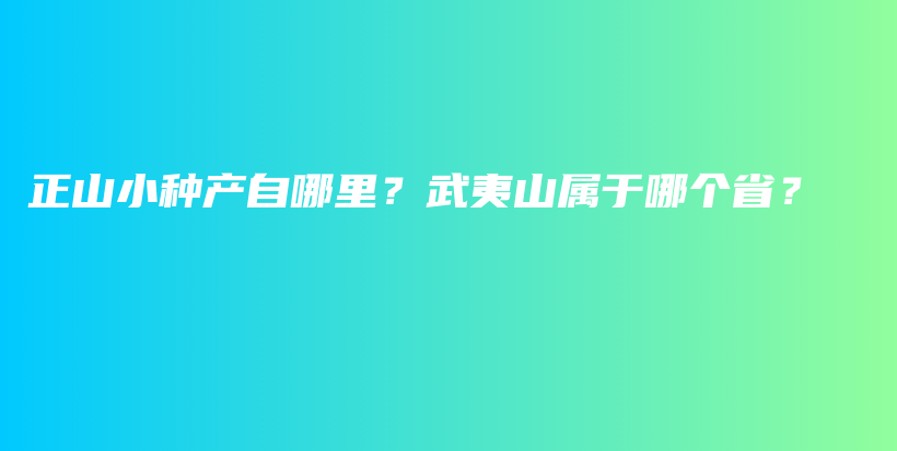 正山小種產(chǎn)自哪里？武夷山屬于哪個(gè)??？插圖