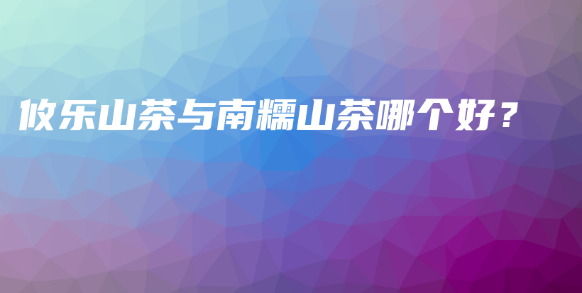攸樂山茶與南糯山茶哪個(gè)好？插圖