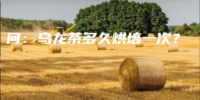 問：烏龍茶多久烘培一次？插圖