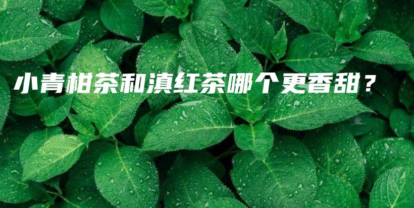 小青柑茶和滇紅茶哪個更香甜？插圖
