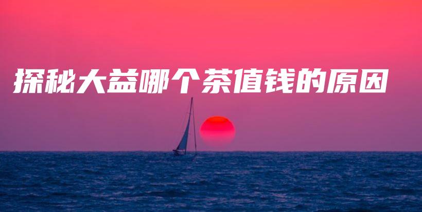 探秘大益哪個(gè)茶值錢的原因插圖
