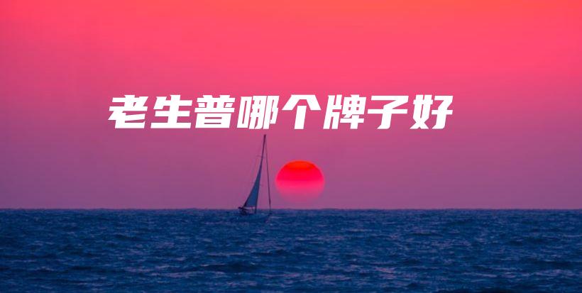 老生普哪個牌子好插圖