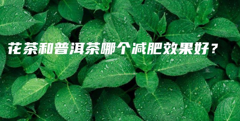 花茶和普洱茶哪個(gè)減肥效果好？插圖