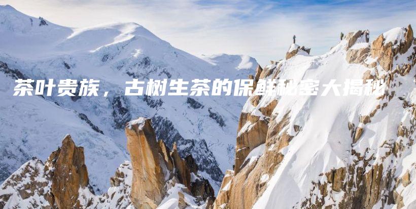 茶葉貴族，古樹生茶的保鮮秘密大揭秘插圖