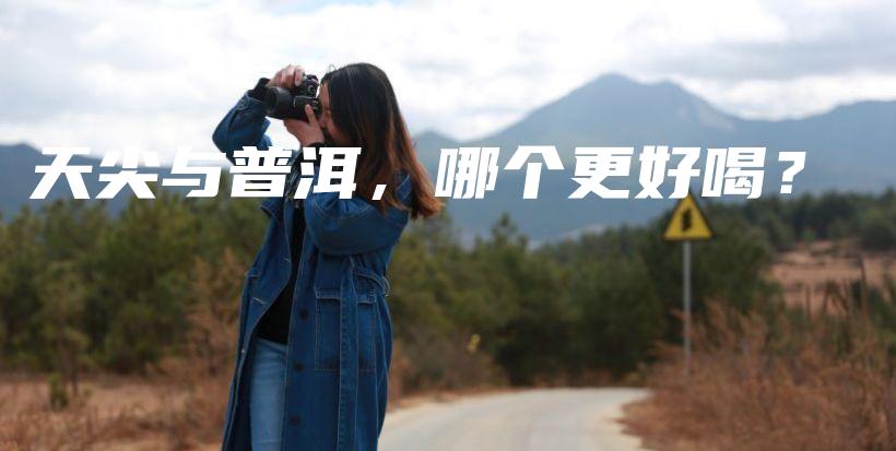 天尖與普洱，哪個更好喝？插圖