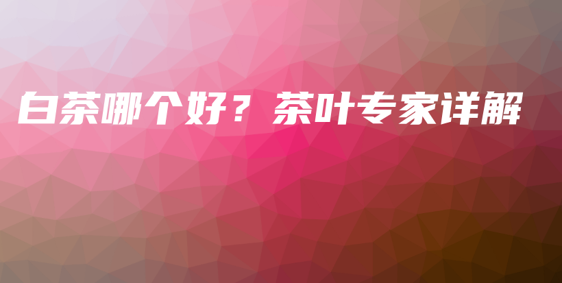 白茶哪個(gè)好？茶葉專家詳解插圖