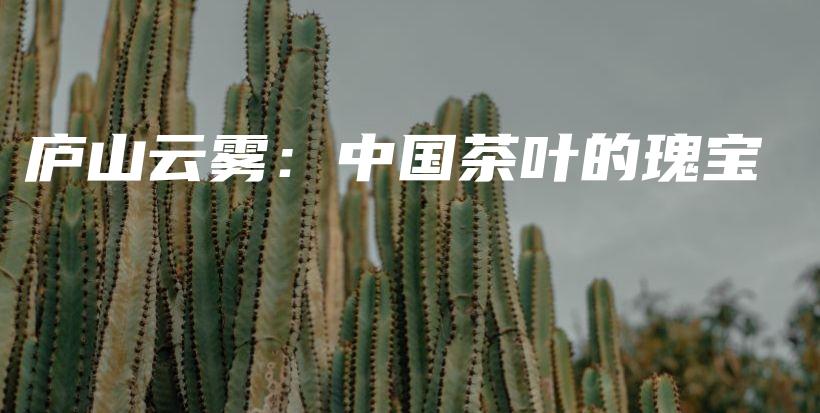 廬山云霧：中國茶葉的瑰寶插圖