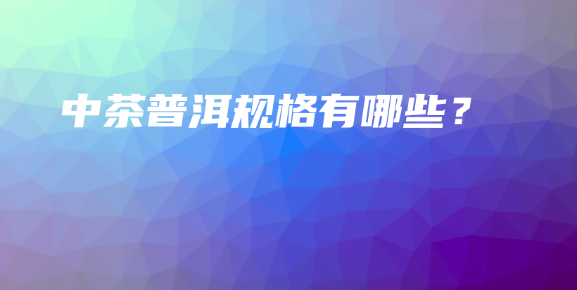 中茶普洱規(guī)格有哪些？插圖