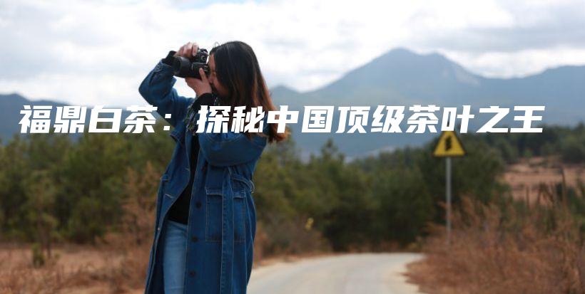 福鼎白茶：探秘中國頂級茶葉之王插圖