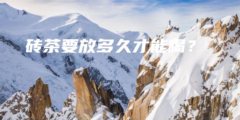 磚茶要放多久才能喝？插圖