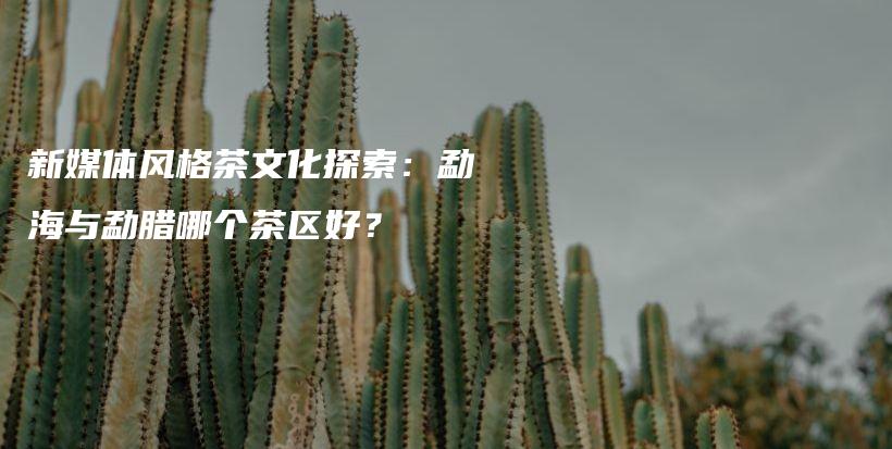 新媒體風(fēng)格茶文化探索：勐海與勐臘哪個茶區(qū)好？插圖
