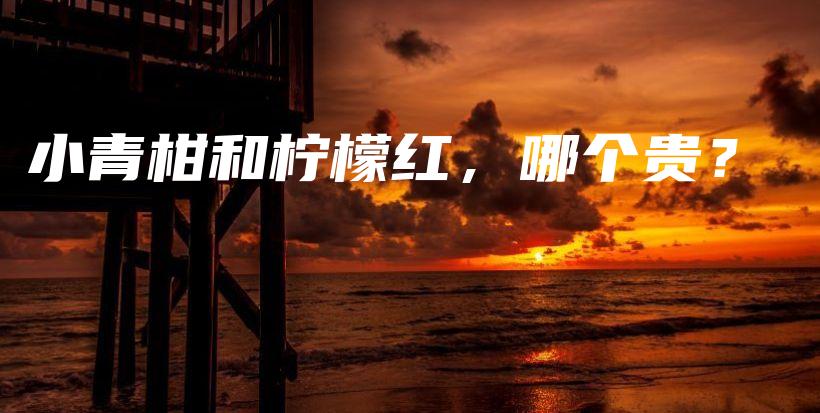 小青柑和檸檬紅，哪個貴？插圖