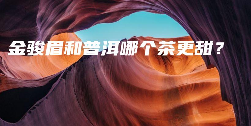 金駿眉和普洱哪個茶更甜？插圖
