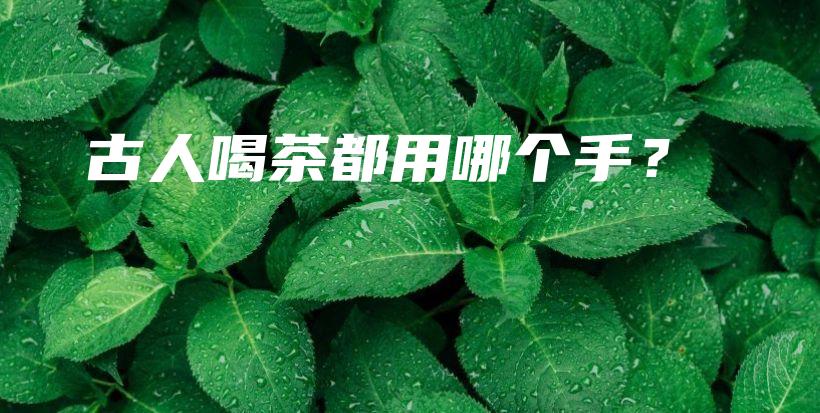 古人喝茶都用哪個手？插圖