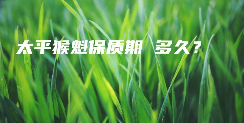 太平猴魁保質期 多久？插圖