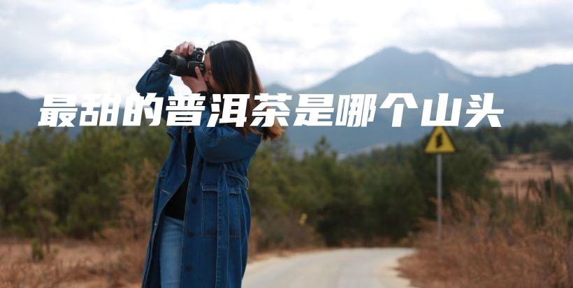 最甜的普洱茶是哪個山頭插圖
