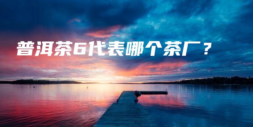 普洱茶6代表哪個(gè)茶廠？插圖