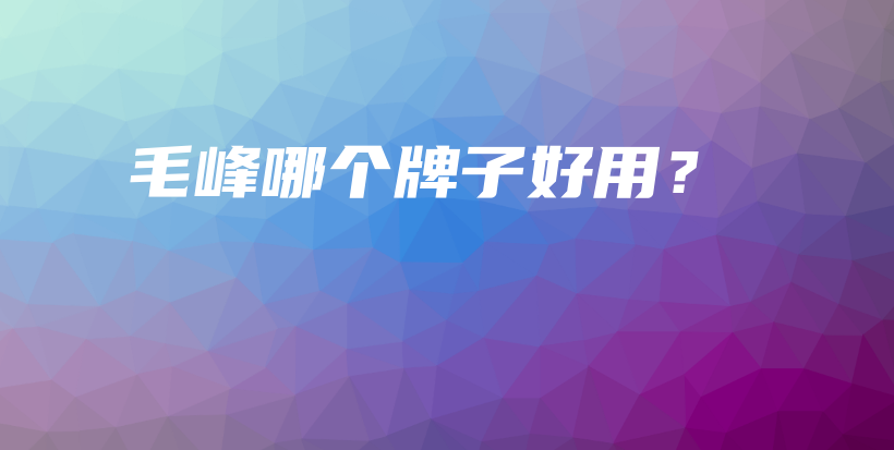 毛峰哪個(gè)牌子好用？插圖